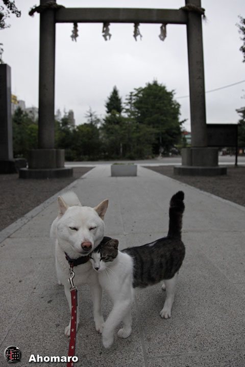 写真00