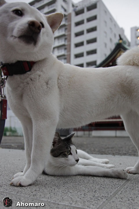 写真00