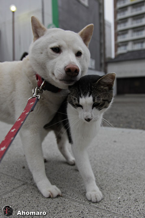 写真00