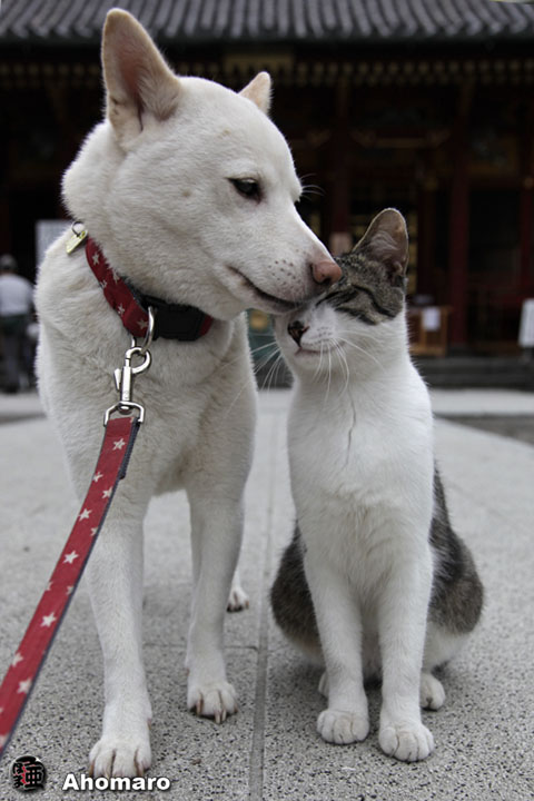 写真00