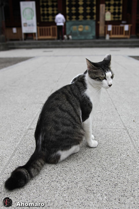 写真00