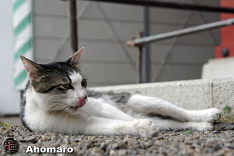 写真00