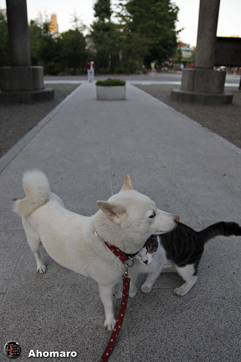 写真00