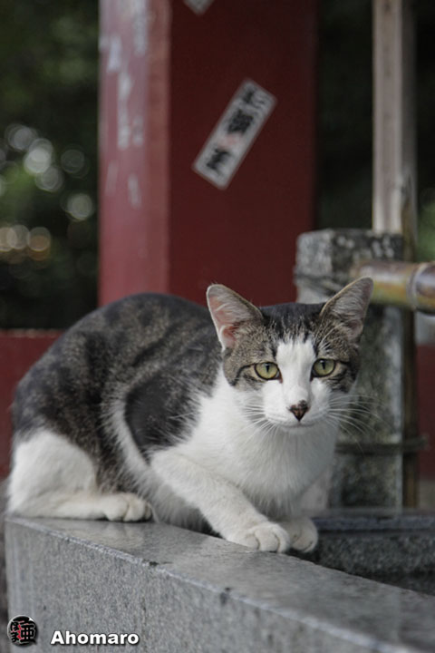 写真00
