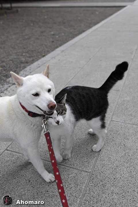 写真00