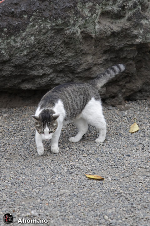 写真00