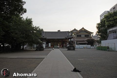 写真00