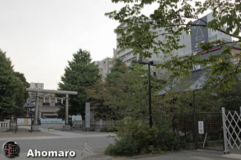 写真00