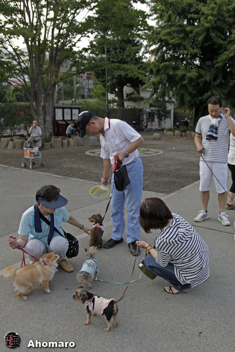 写真00