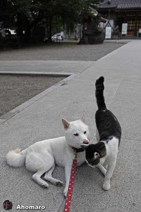 写真00
