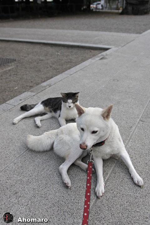 写真00