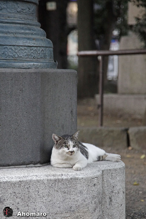 写真00