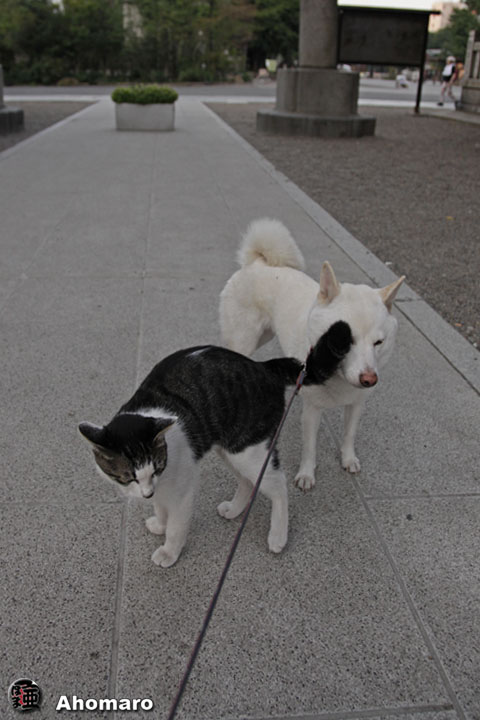 写真00