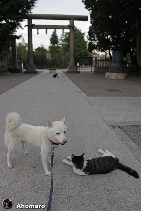 写真00