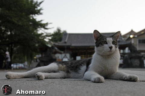 写真00