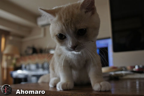 写真00