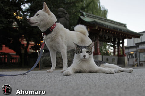 写真00