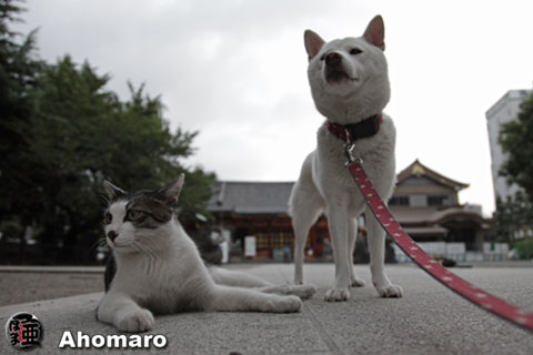 写真00