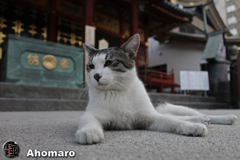写真00