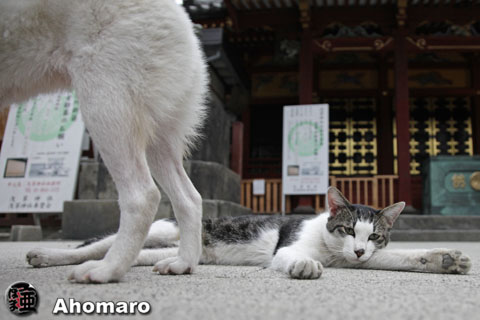 写真00
