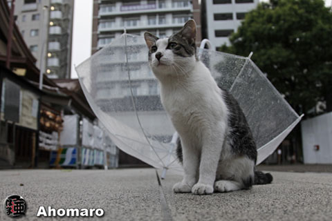 写真00