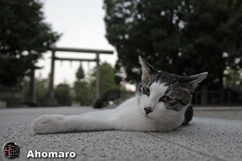 写真00