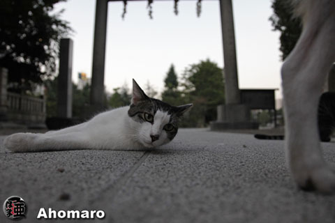 写真00