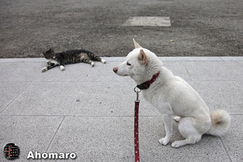 写真00
