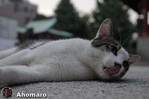 写真00