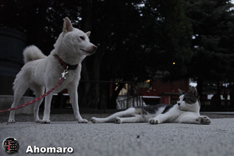 写真00