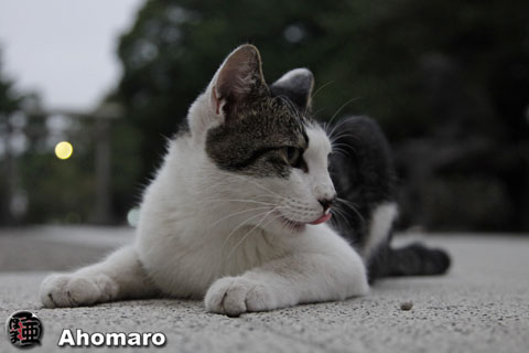 写真00