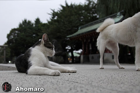 写真00
