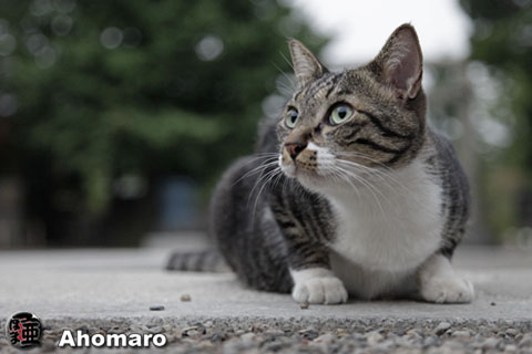 写真00