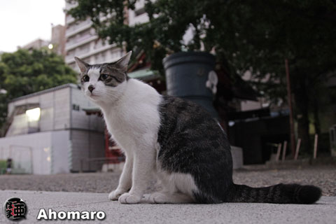 写真00