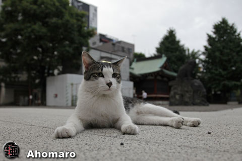写真00