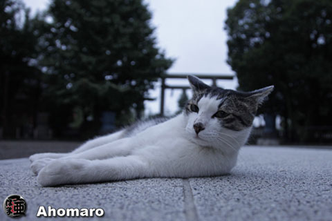 写真00