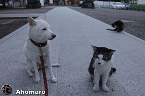 写真00