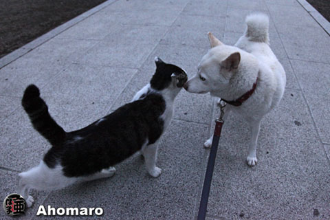 写真00