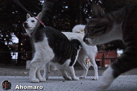 写真00