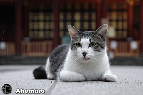写真00