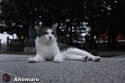 写真00