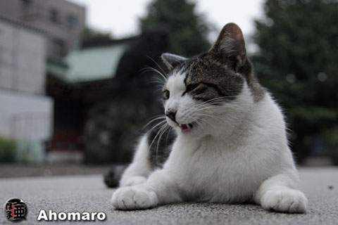 写真00