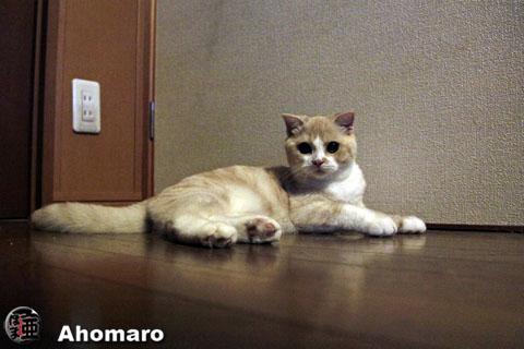 写真00