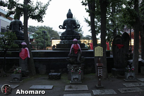 写真00