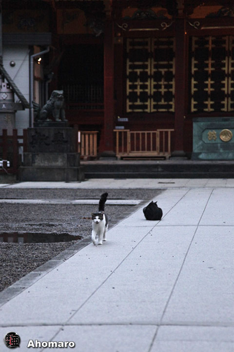 写真00
