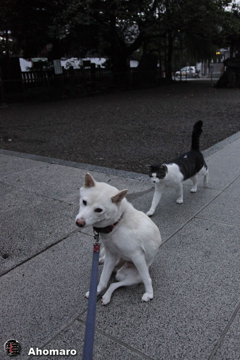 写真00