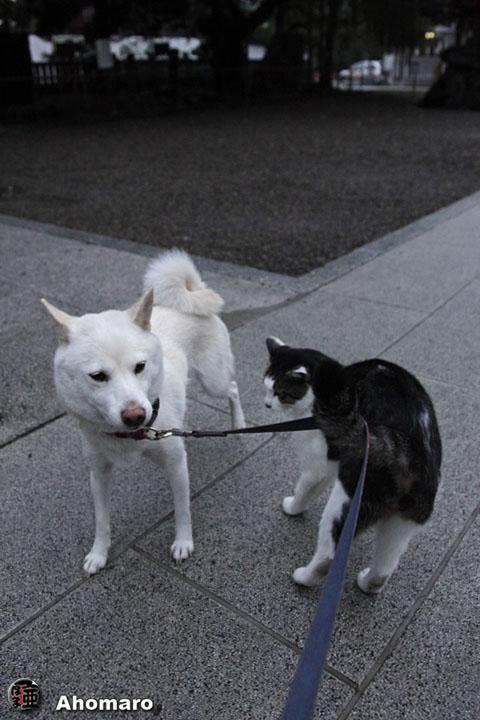 写真00