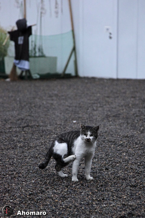 写真00