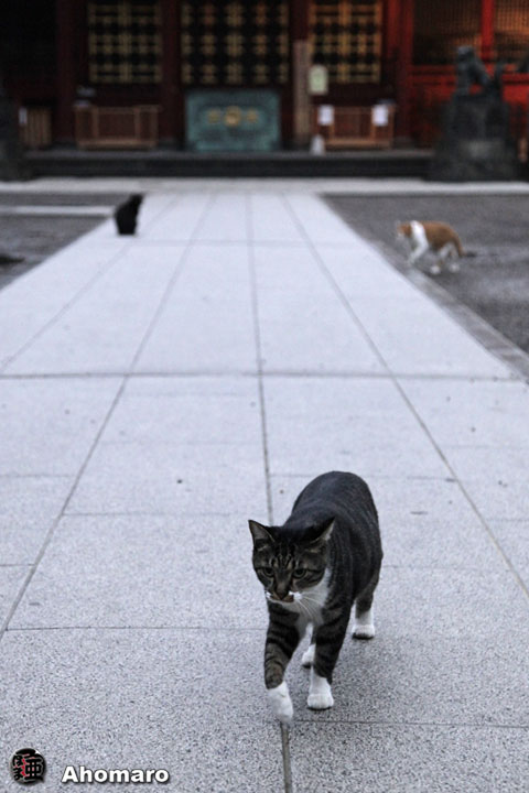 写真00