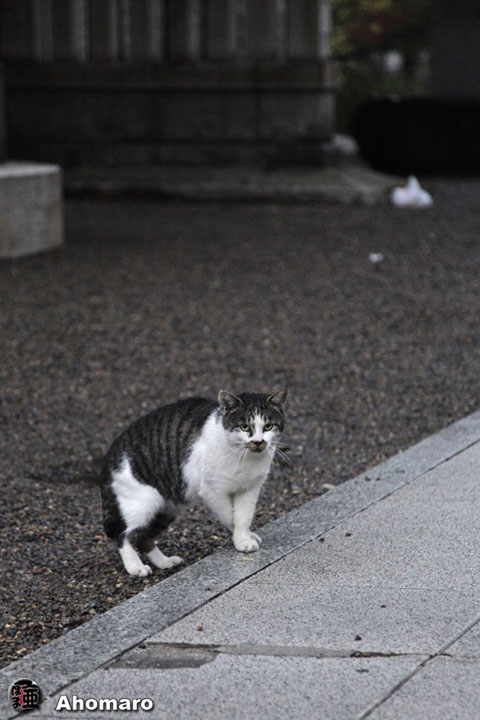 写真00